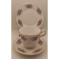 Vintage Queen Anne  Fine Bone China Trio- Ridgway Potteries (5 Available)