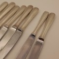 8 different HEBB quality stainless steel Knifes-Germany