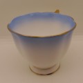 Royal Albert Rainbow Blue  tea Cup (small Chip on Base)