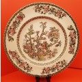Johnson Brothers 'Indian Tree' Porcelain Plate 217mm- Made in England