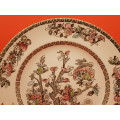Johnson Brothers 'Indian Tree' Porcelain Plate 217mm- Made in England
