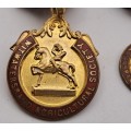 Two 1936 to 1937 W.A.S (Witwatersrand Acricultural Society)Horse show Medals No 31 and 943