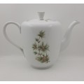 Vintage Royal Avon Tea Pot 170x250x125mm