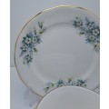 Vintage Queen Anne Bone China Side Plate Pattern 8654. (3 Available)