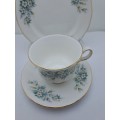 Vintage Queen Anne Bone China Tea Trio Pattern 8654 (8 Trios available)