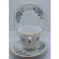 Vintage Queen Anne Bone China Tea Trio Pattern 8654 (8 Trios available)