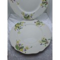 2 Vintage 1938-1959 Royal Doulton Bone China Diner Plates 261mm-  Made in England