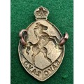 WW2 South African veterinary corps Badge