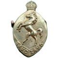 WW2 South African veterinary corps Badge