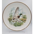 Vintage Royal Chelsea Bone China BIRDS OF THE COUNTRY SIDE COLLECTION THE MALLARD Plate -England