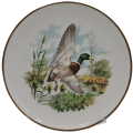 Vintage Royal Chelsea Bone China BIRDS OF THE COUNTRY SIDE COLLECTION THE MALLARD Plate -England