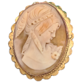 Vintage Gold Plated Cameo Brooch  4,5cm x 3,6cm
