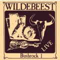 Wildebeest - Bushrock 1