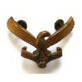 SOUTH AFRICAN AIRFORCE BADGE 55MM