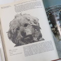 The book of the dog - Paul Hamlyn