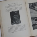 Sketches of South African Bird-life by Haagner and Ivy - 1914 Edition