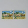 Rhodesia SACC 142 normal mint stamp plus stamp with thick outline of calf - mint hinged