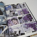 DC Comics Catwoman - Trail of the catwoman graphic novel