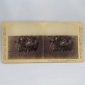 Boer War stereoscope card #113 - Prince Albert`s Horse resting on the march to Kroonstadt