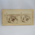 Boer War Stereoscope card #51 - The Australians after their experience of the Victory at Belmont