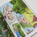 DC Comics Swamp Thing Part 2 graphic novel