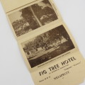 Nelspruit vintage Fig Tree Hotel picture postal card - Fold out - Excellent