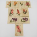 Lot of 9 South African flowers silky cigarette cards with paper backing