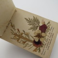 1913 Book on Flowers from the Italy Land - Jerusalem - With real flowers