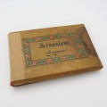 1913 Book on Flowers from the Italy Land - Jerusalem - With real flowers