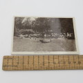 Antique postcard of Bathing Place Parys, Freestate