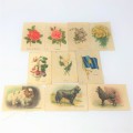 Lot of 9 silk cigarette cards - flowers, dog breeds, flags