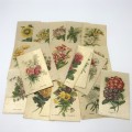 Lot of 25 Garden flowers of the world Westminster Tabaco silky cigarette cards with paper backing