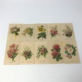 Lot of 25 Garden flowers of the world Westminster Tabaco silky cigarette cards with paper backing