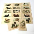 Lot of 16 Best Dogs of their breed silky cigarette cards with paper backing