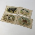 Lot of 16 Best Dogs of their breed silky cigarette cards with paper backing