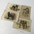 Lot of 16 Best Dogs of their breed silky cigarette cards with paper backing