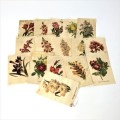 Lot of 17 Flower silk cigarette cards - vintage
