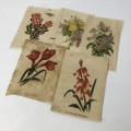 Lot of 17 Flower silk cigarette cards - vintage