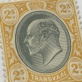 Transvaal SACC 263 mounted mint 2 Shilling stamp