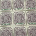 ZAR - SACC 229 Block of 12 unmounted mint 6 Pence stamps