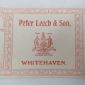 Antique Peter Leech and Son Silicate of Soda wrapper
