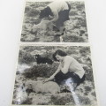 Lot of 165+ vintage photos of people from the Stellenbosch area