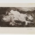 Antique postcard of little girl and Irish Wolfhound