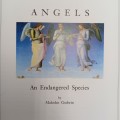 Angels - An Endangered species by Malcolm Godwin