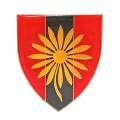 SADF Northern Transvaal Provost unit shoulder flash