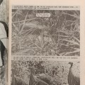 Die Wit Tier no 188 Afrikaans photo comic book