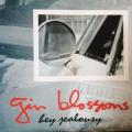 CD - Gin Blossoms -  Hey Jealousy (single)