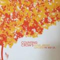 CD - Counting Crows - Films About Ghosts The Best Of