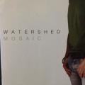 CD - Watershed - Mosiac