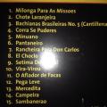 CD - Renatto Borghetti Accordionist - Brasilian Music From The Rio Grande Du Sul